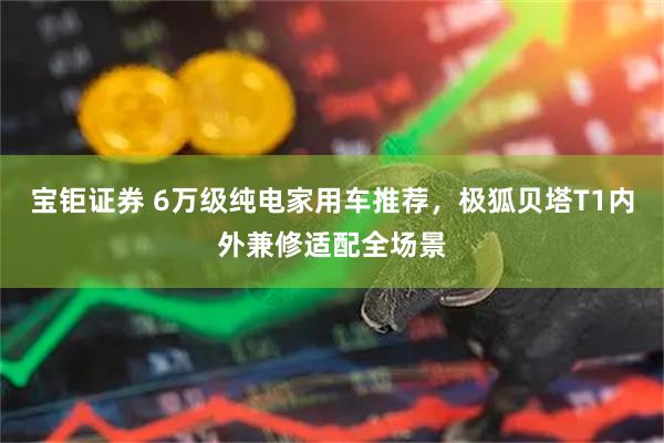 宝钜证券 6万级纯电家用车推荐，极狐贝塔T1内外兼修适配全场景